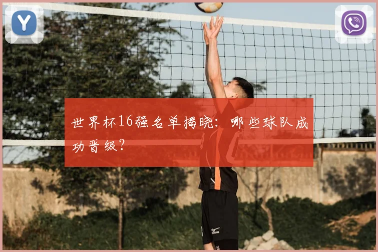 世界杯16强名单揭晓：哪些球队成功晋级？